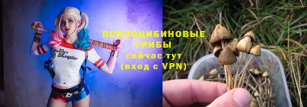 скорость Медвежьегорск