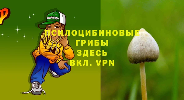 2c-b Болотное