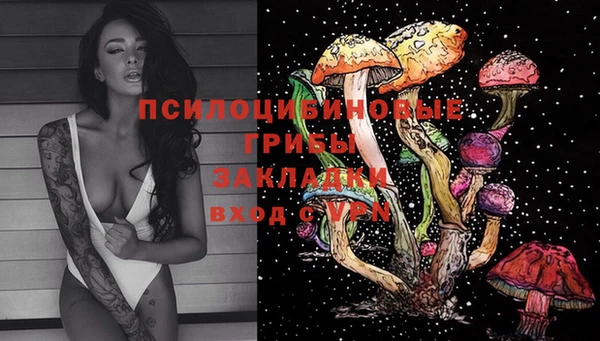 скорость Медвежьегорск