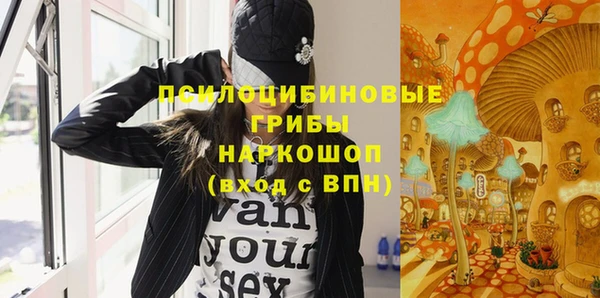 скорость Медвежьегорск