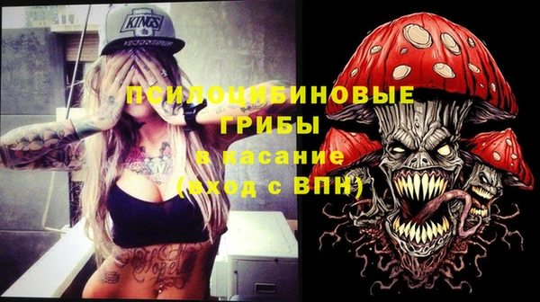 скорость Медвежьегорск