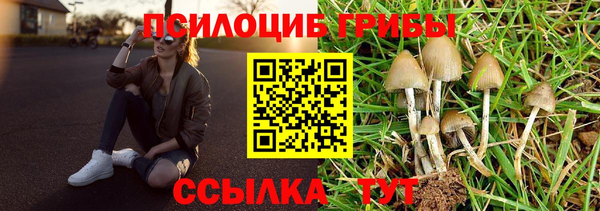 Галлюциногенные грибы мухоморы  Вход с VPN  хочу   Похвистнево 